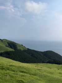 【宮崎】野生の馬が住まう岬