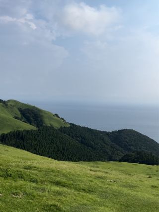 【宮崎】野生馬棲息的海岬