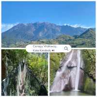 Serene beauty: Experiencing Kota Kinabalu’s Canopy Walk 🇲🇾