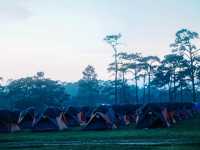 ภูกระดึง ภูเขาที่ขึ้นไปแล้วรู้สึกหายเหนื่อยเร็วที่