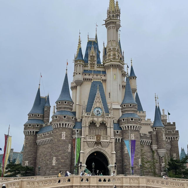 ❤️ディズニーランド❤️