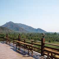 Rimpha Chomview ⛰️