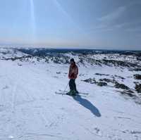 Aussie Snowfields 