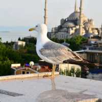 Istanbul, Turkey