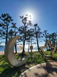 머드축제로 핫한 보령 대천해수욕장🏖