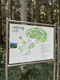 국내 녹차밭 야외데이트