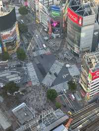【SHIBUYA SKY 澀谷頂樓無敵360度東京全景，日落必去！】