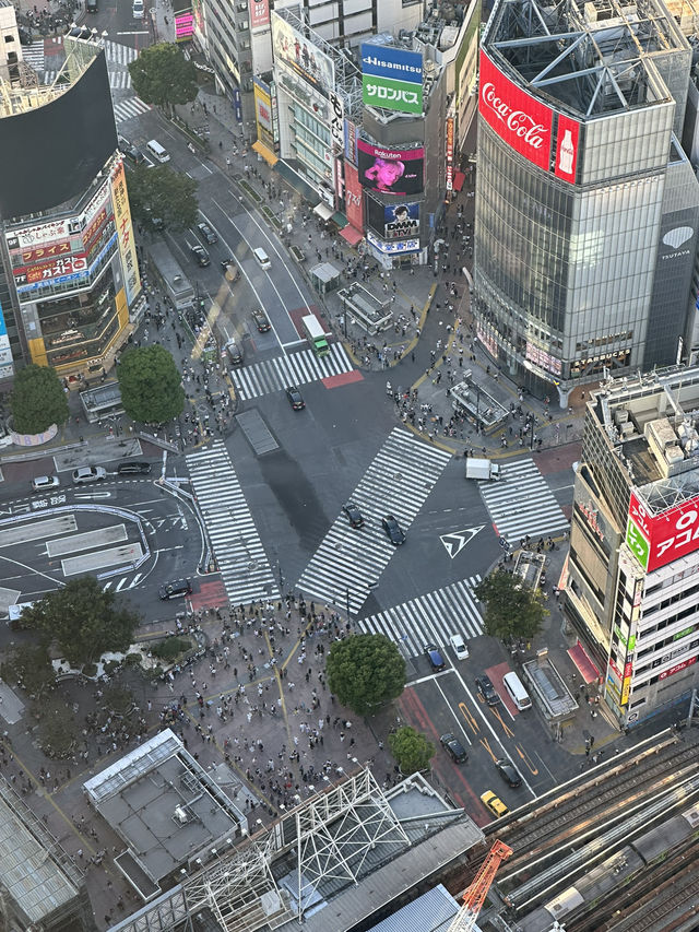 【SHIBUYA SKY 澀谷頂樓無敵360度東京全景，日落必去！】