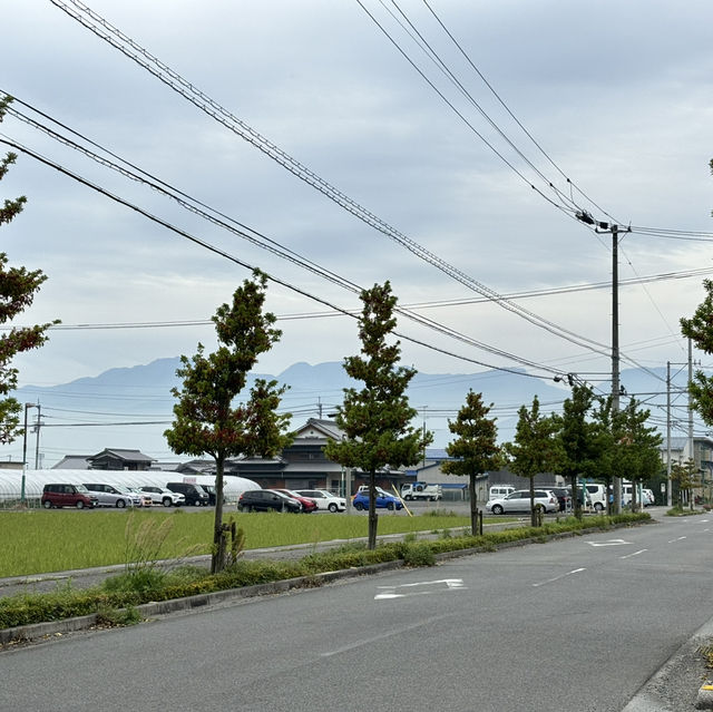 四國遍路+瀨戶內海單車遊