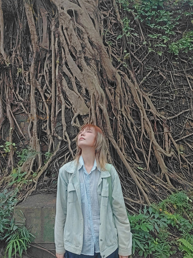 居然在九龍公園發現天空之鏡