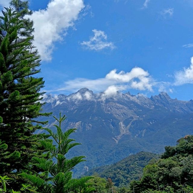 Sipping with a View at Kloud Cafe Kundasang