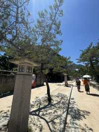 広島の顔！夏の宮島をエンジョイ！