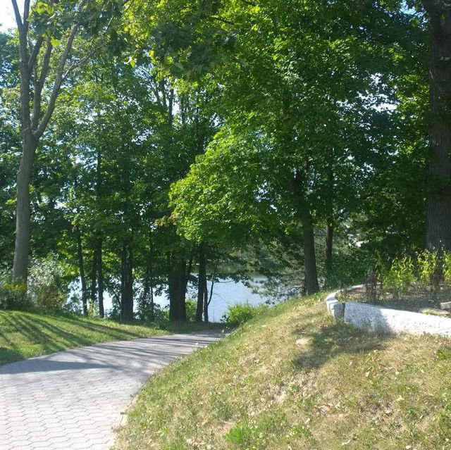 "Buffalo’s Hidden Gem: Serenity at the Japanese Garden"