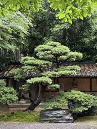 Japanese Ancient Architecture: Gassho Houses