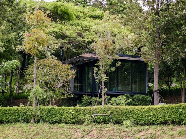 🌳THE PAZ KHAO YAI