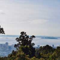 "Serenity in Green: The Enchanting Forest Views of Penang Hill"