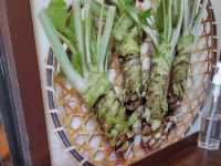 Wasabi Croquette ร้านโคร็อคเก็ตวาซาบิ จ.นากาโนะ