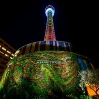 a great way to see Yokohama skyline and harbor