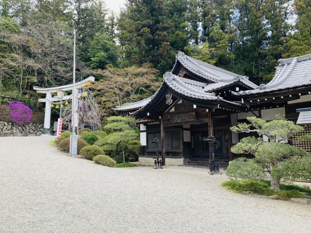 長瀞　宝登山神社