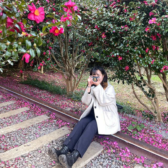 미리 준비하는 겨울 제주 동백 포토존, 허브동산 🌺