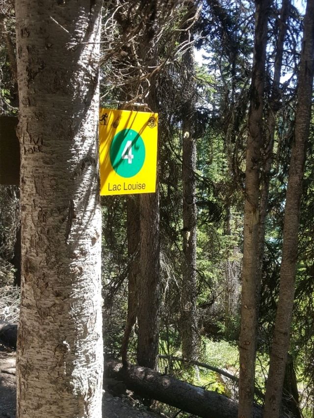 A SATISFYING HIKE FROM LAKE LOUISE TO LAKE AGNES