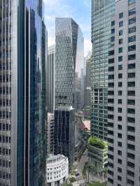 City view : Sky Garden at CapitaSpring 