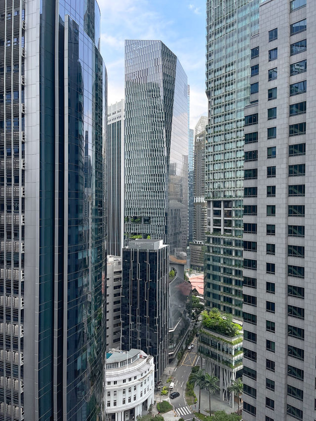 City view : Sky Garden at CapitaSpring 