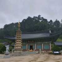 평창. 진부의 발왕산, 오대산 월정사 여행