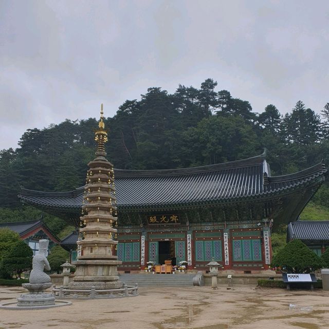 평창. 진부의 발왕산, 오대산 월정사 여행