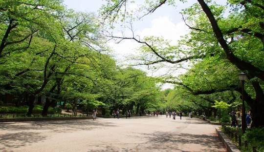 由台灣男友告訴你六件關於上野公園的事💁🏻‍♂️