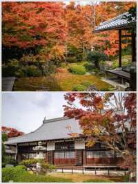 【京都府】鷹峰山宝樹林源光庵
