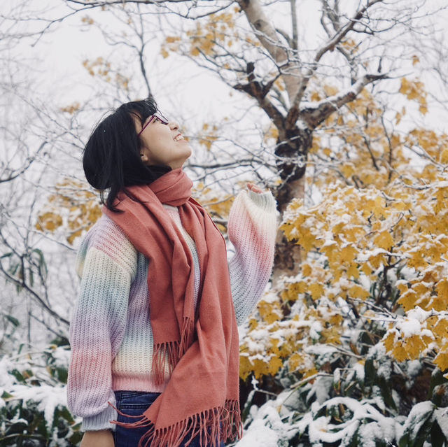 Autumn in Akita prefecture