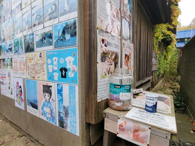 日本的貓島-男木島