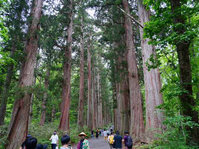 【長野/長野市】パワースポット戸隠神社