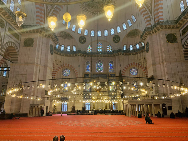 《イスタンブール》ブルーモスクとグルメと夜景
