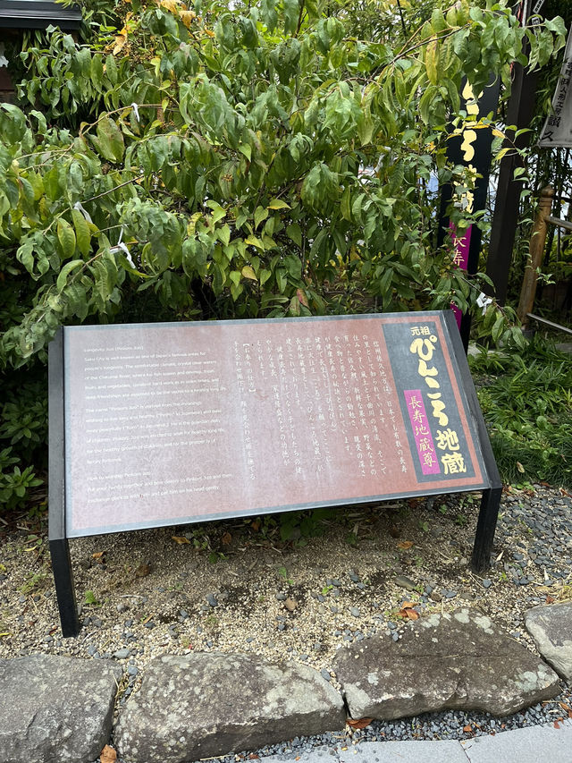 【佐久市】県内外から人が訪れる人気健康長寿スポット