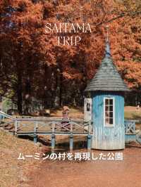 【埼玉】ムーミンの世界に没入できる紅葉スポット