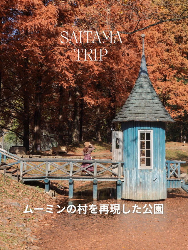 【埼玉】ムーミンの世界に没入できる紅葉スポット