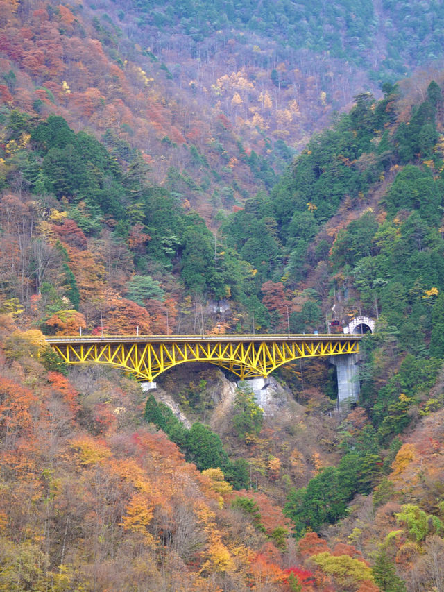 【奥秩父】絶景紅葉🍁 穴場スポット