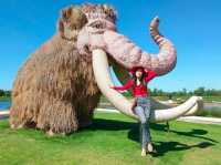 แสนเมืองบุรี โรงเรียนการบิน กำแพงแสน