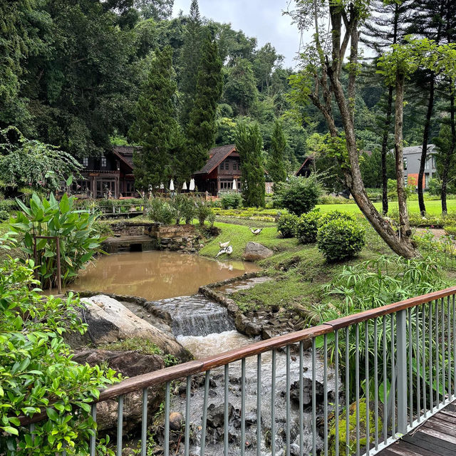ที่พักเชียงใหม่ท่ามกลางสวนดอกไม้ 