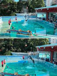 【 東京 品川 】本当は秘密にしたい東京の穴場水族館