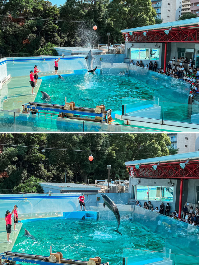 【 東京 品川 】本当は秘密にしたい東京の穴場水族館