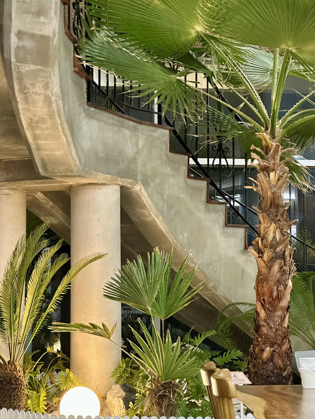 여유로운 야자수가 있는 🌴실내분위기에 ✨고급스러운 솥밥 ✨맛집데이트 추천 