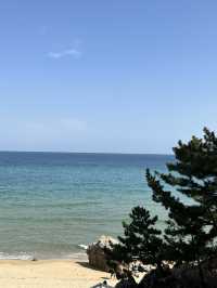 데이트하기 좋은 삼척🌊💙