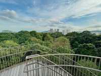 Tranquil Escape at Chestnut Nature Park