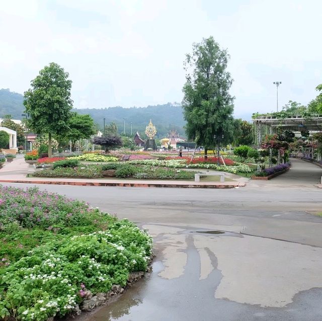 อุทยานหลวงราชพฤกษ์ จ.เชียงใหม่