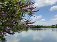 Best walking route in Austin 