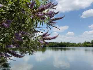 Best walking route in Austin 