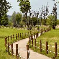 Refreshing escape at Gangcheonseom island